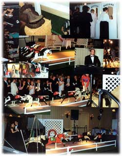 Winners' Circle Indoor Horse Racing - Synopsis